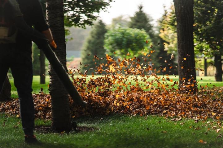 Ramassage de feuilles Québec