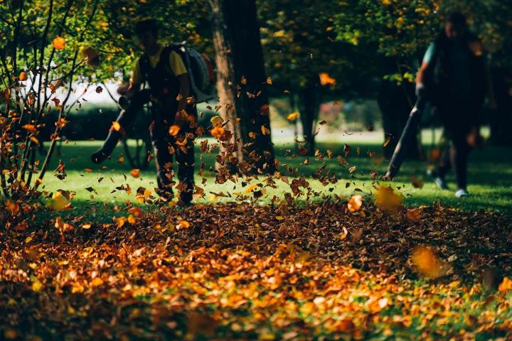 Ramassage de feuilles mortes Québec